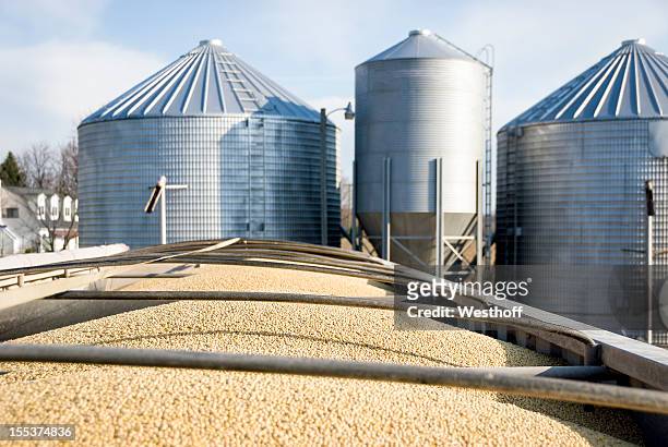 sojabohne transport - soybean harvest stock-fotos und bilder