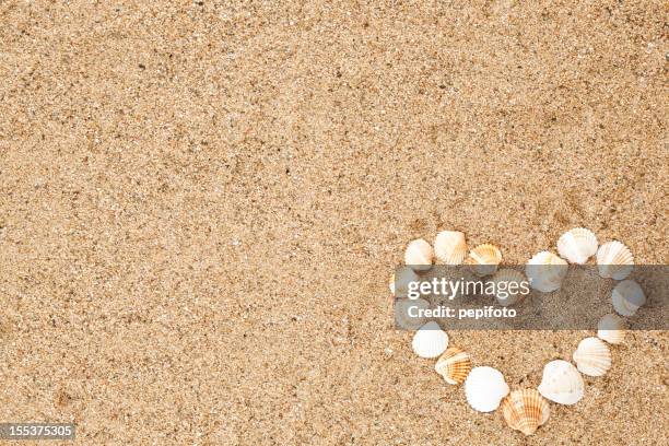 Heart Behind Shell 466 Heart Shaped Shell Stock Photos, High-Res Pictures, and Images ...