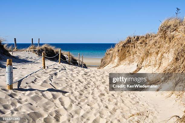 pathway to the beach - cape cod bildbanksfoton och bilder