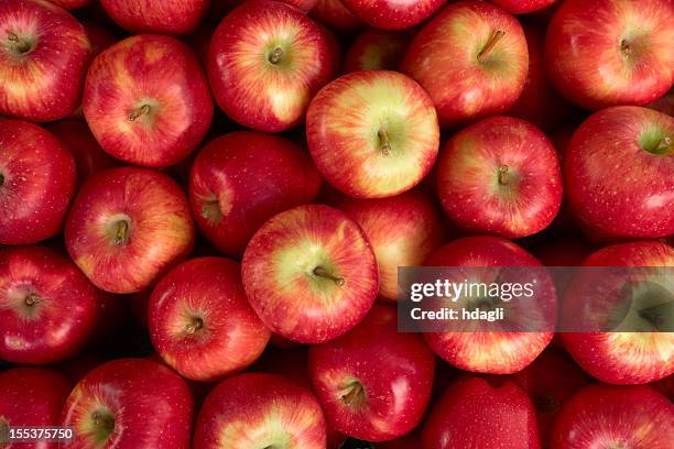 rote äpfel auf einem markt - apple stock-fotos und bilder