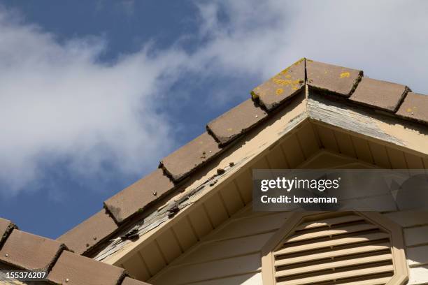 home improvement needed - drywood termite stock pictures, royalty-free photos & images