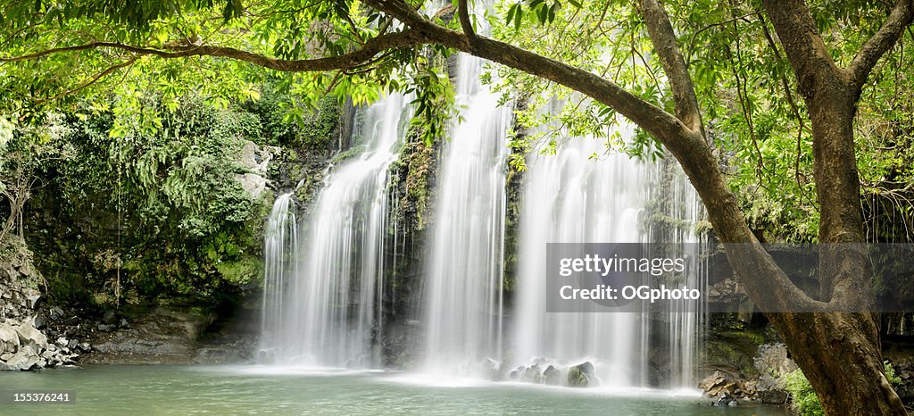 XXXL: Panoramic of tropical waterfall with backlit leaves