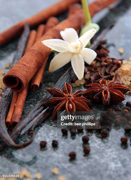 sweet spices - cinnamon stock pictures, royalty-free photos & images