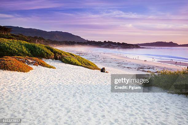 carmel beach in carmel-by-the-sea - pebble beach california stockfoto's en -beelden