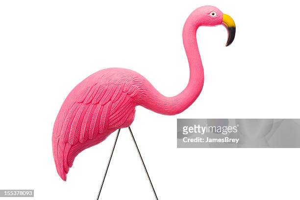 pink flamingo isolated on white with clipping path - flamingos stock pictures, royalty-free photos & images