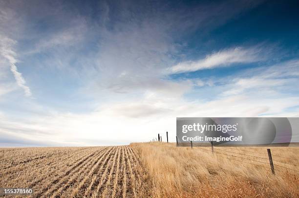 great plains in alberta, kanada - prairie stock-fotos und bilder