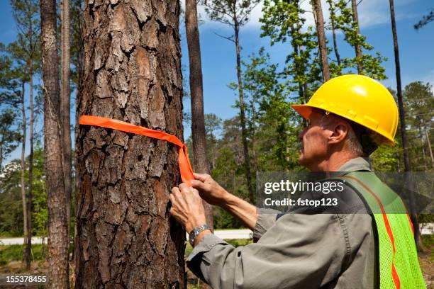 Forrestry Ribbons Happy Arborist Photos and Premium High Res Pictures - Getty Images