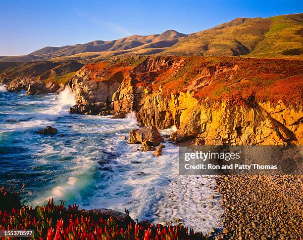 california coastline  (p) - monterey california stock pictures, royalty-free photos & images