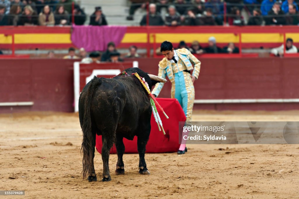 Toureiro