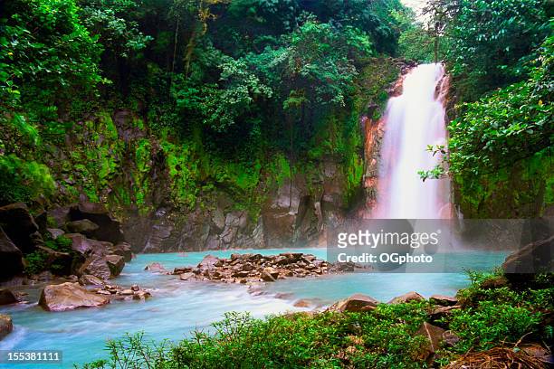 waterfall in tropical rainforest - costa rica stock pictures, royalty-free photos & images