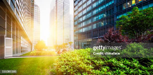 green city park in shanghai, china - business park stock pictures, royalty-free photos & images