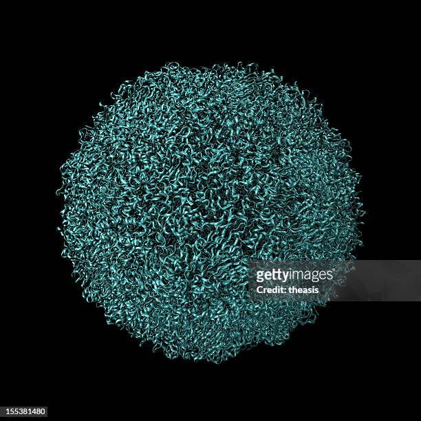 foot and mouth disease virus capsid - foot and mouth disease stock pictures, royalty-free photos & images