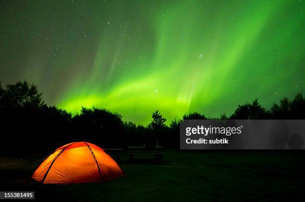 aurora borealis on iceland and a camping tent - aurora australis stock pictures, royalty-free photos & images