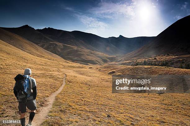 mountain man hiking sunshine landscape - striding stock pictures, royalty-free photos & images