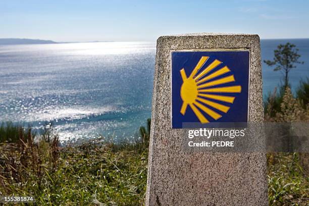 st. james's shell, a symbol of the route. - camino de santiago stock pictures, royalty-free photos & images