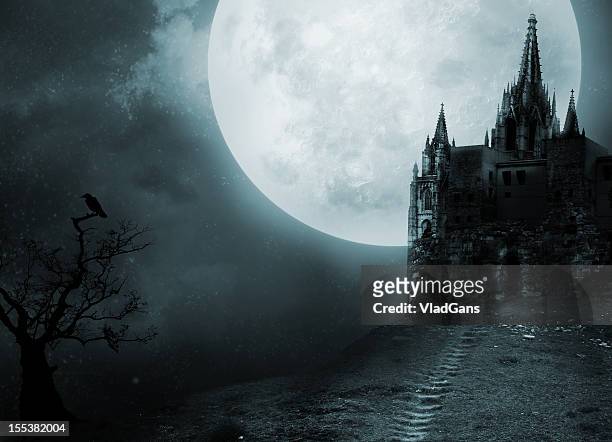 old castle - scary stock pictures, royalty-free photos & images
