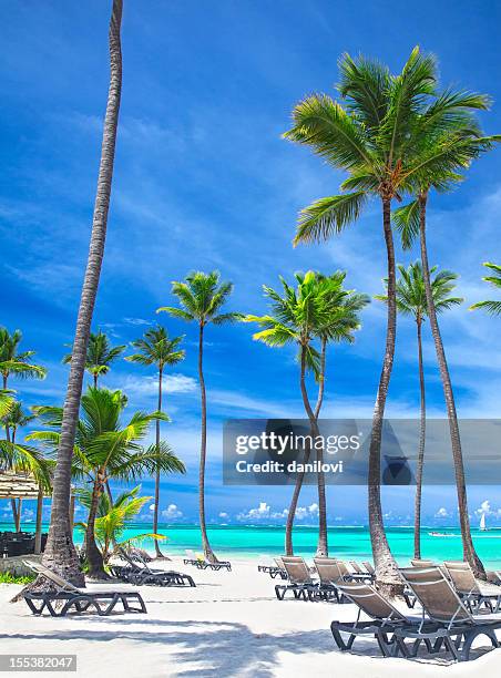 bavaro beach in punta cana - punta cana stock pictures, royalty-free photos & images