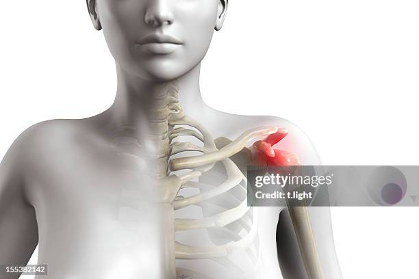 shoulder impingement syndrome - shoulder anatomy stock pictures, royalty-free photos & images