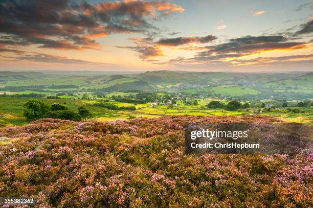 curbar edge heather, peak district national park - peak district national park stock pictures, royalty-free photos & images
