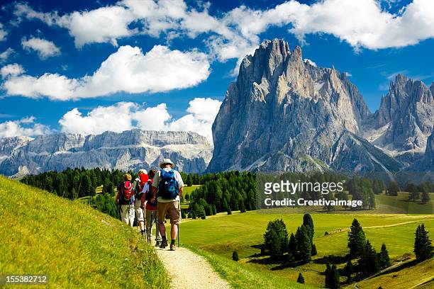 group of people hiking in the nature - dolomites stock pictures, royalty-free photos & images