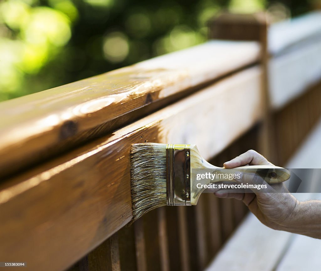 Macho Carpenter aplicación de barniz para muebles de madera.