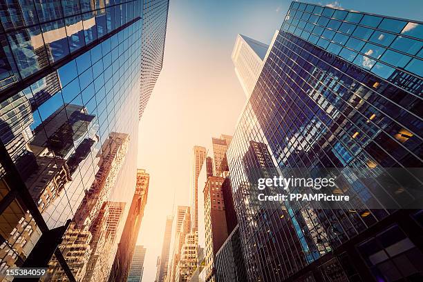 ufficio skysraper al sole - grattacielo foto e immagini stock