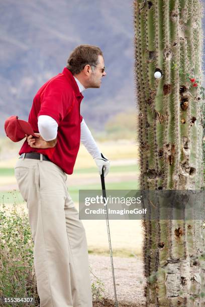 Golf Rage 105 Golf Rage Stock Photos, High-Res Pictures, and Images - Getty Images