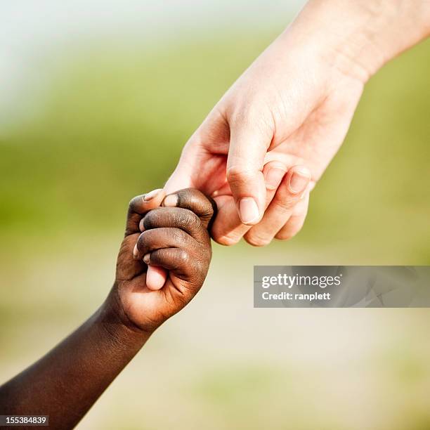 4,894 Indigenous Hands Stock Photos, High-Res Pictures, and Images ...