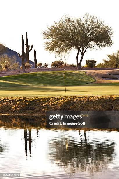 desert golf hole in phoenix area - arizona golf stock pictures, royalty-free photos & images