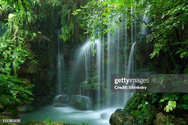 wasserfall - tropischer regenwald stock-fotos und bilder