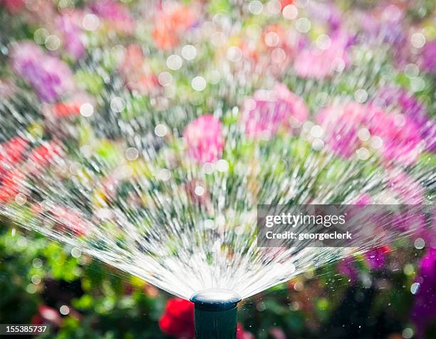 flowerbed automatic water sprinkler - squirt stockfoto's en -beelden