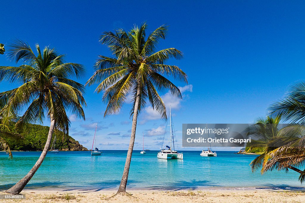 Salt-Whistle-Bucht, Mayreau