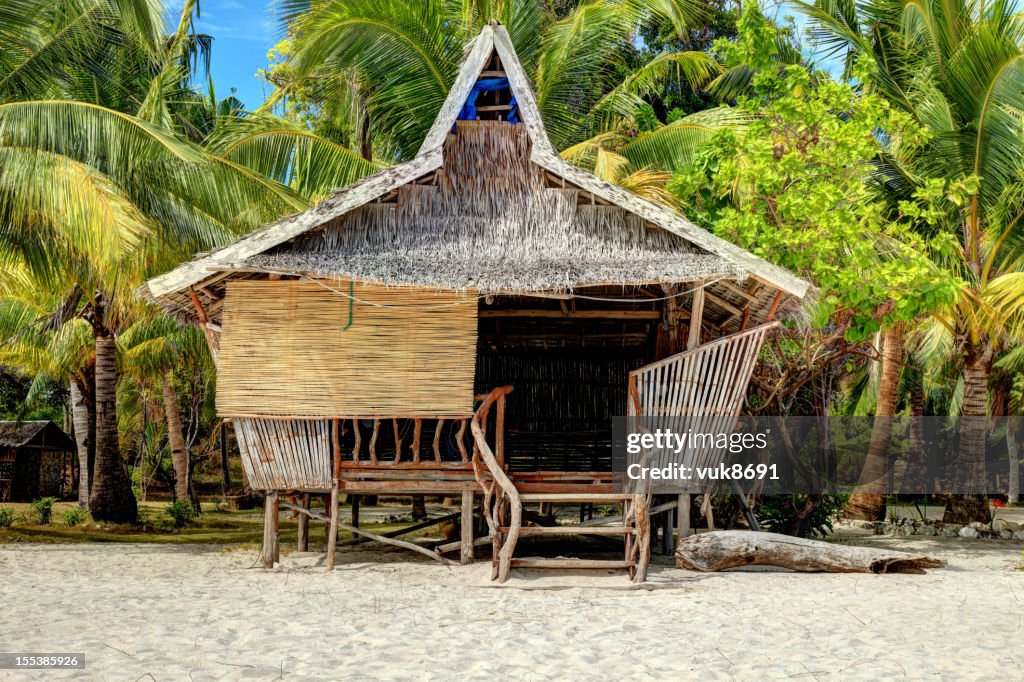 Traditional Philippine Houses