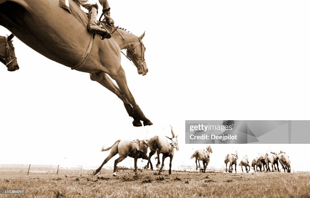 Saltar e Cavalo de Corrida de Cavalos com Obstáculos
