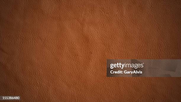 cuero - piel de animal fotografías e imágenes de stock