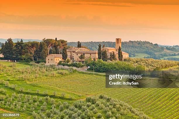 an illustration of a tuscany farm - tuscany villa stockfoto's en -beelden