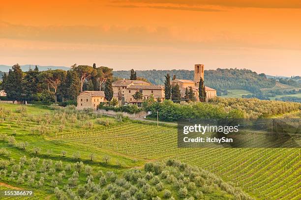 an illustration of a tuscany farm - tuscan villa stock pictures, royalty-free photos & images