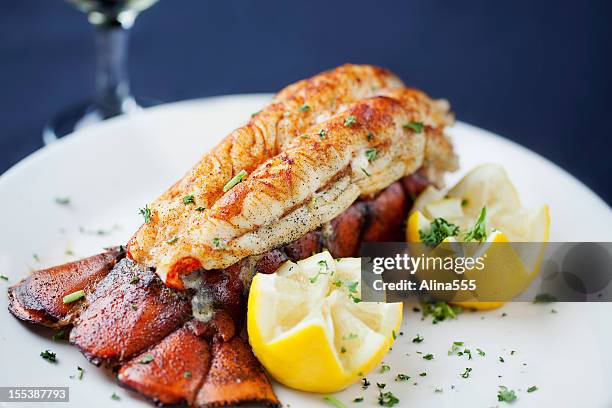 large lobster tail served with white wine - gourmet seafood dinner stock pictures, royalty-free photos & images