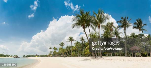 15 580点のセントーサ島のストックフォト Getty Images 15 580点のセントーサ島のストックフォト Getty Images