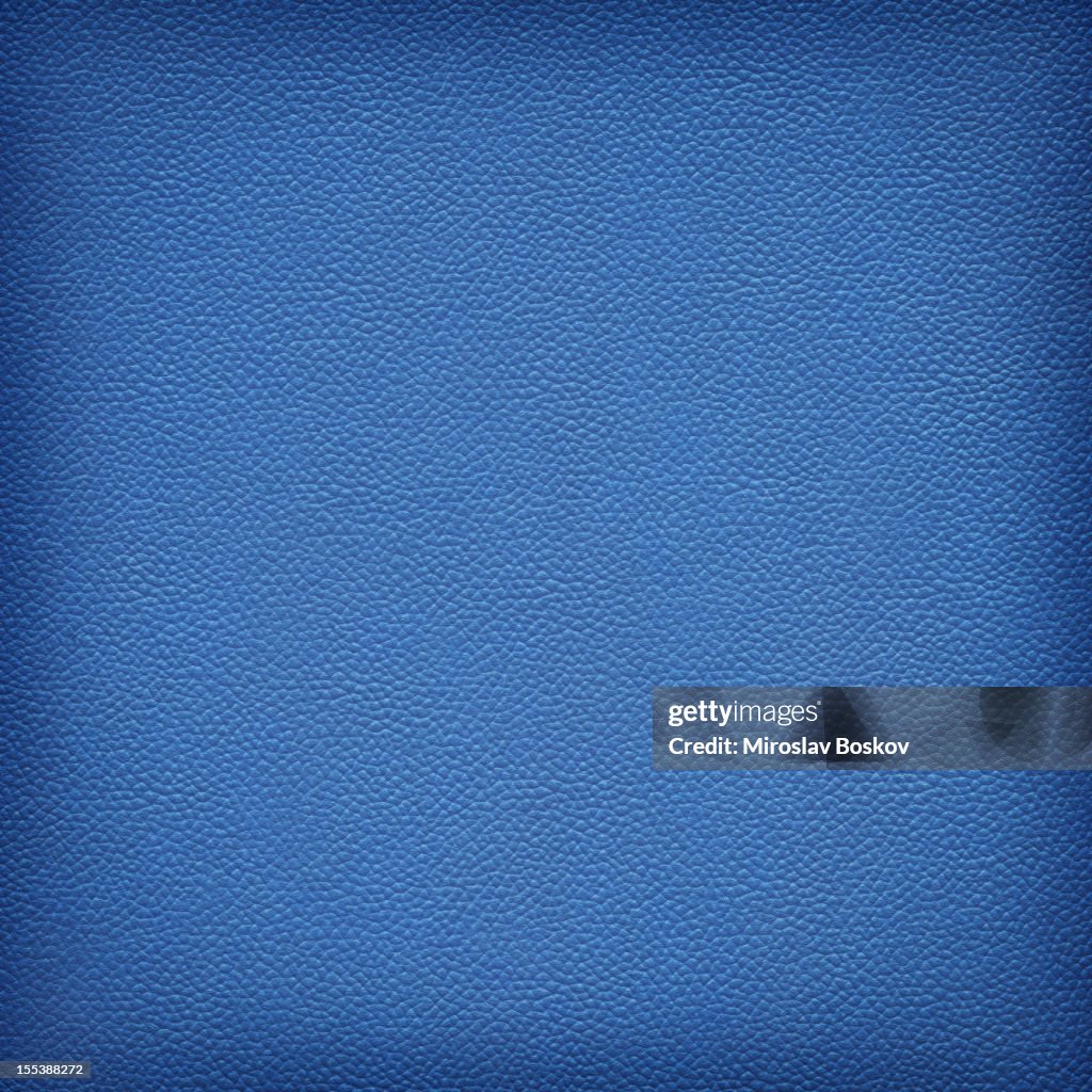 Hi-Res Animal Skin - Pig Navy Blue Leather Vignette Texture