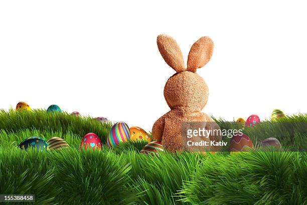 easter bunny and three eggs (xxxl) - easter bunny stock pictures, royalty-free photos & images