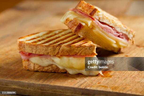 panini sandwiches - cheese on toast stock pictures, royalty-free photos & images