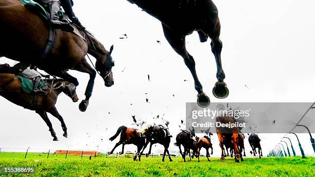 steeplechase sauter et course de chevaux - courses national hunt photos et images de collection