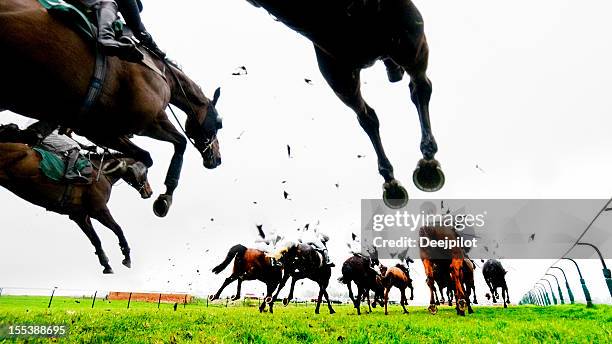 steeplechase jump and horse racing - steeplechasing horse racing stockfoto's en -beelden