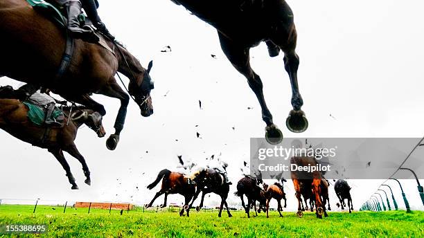 steeplechase jump and horse racing - day at the races stock pictures, royalty-free photos & images