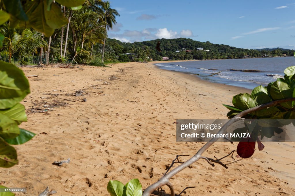 Beach in French Guiana
