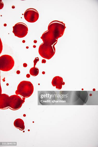 fresh blood droplets red on white background 2 - bloody death stock pictures, royalty-free photos & images