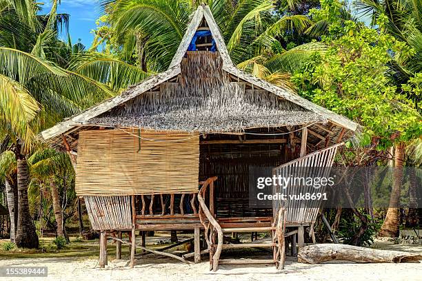 traditional philippine house - grashut stockfoto's en -beelden