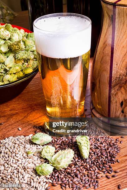 beer, hops and barley - beer ingredients bildbanksfoton och bilder