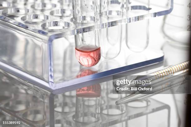 Perspex Box Lab Perspex Holder Photos and Premium High Res Pictures - Getty Images